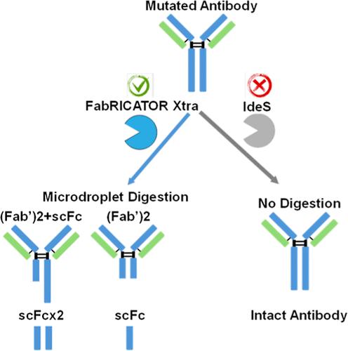 Ultrafast Microdroplet Digestion of Antibodies with Fc-Silencing Mutations