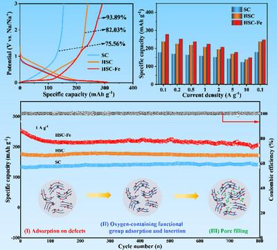 Defects and Oxygen Functional Groups Modulated Soft Carbon with Abundant Closed Pores and Robust Interface for High-Performance Na+-Ion Batteries