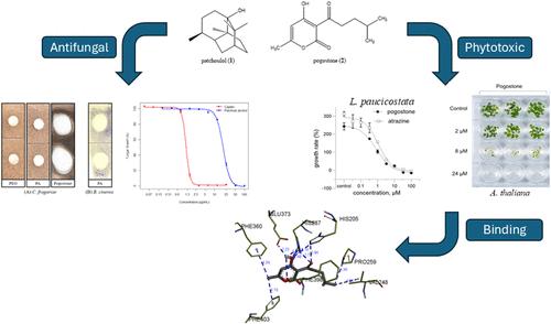Pogostemon cablin Constituents: A Promising Source of Natural Fungicides and Herbicides