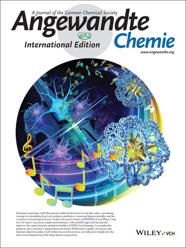 Outside Back Cover: Tandem Dual-Ratiometric SERS Probe Enables Raman Imaging of Neurological pH Fluctuations in Epilepsy (Angew. Chem. Int. Ed. 25/2025)