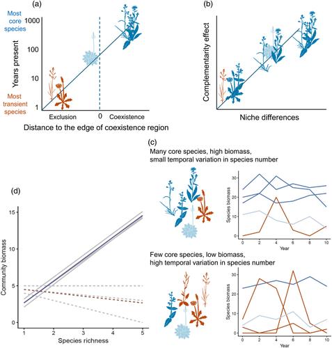 When can we expect negative effects of plant diversity on community biomass?