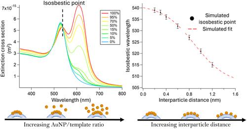 Nanoplasmonic Isosbestics Uncover Mesoscale Assembly of Gold Nanoparticles on Soft Templates