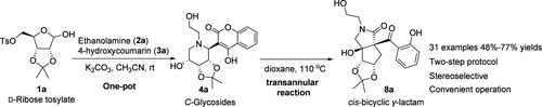 Direct Synthesis of cis-Bicyclic γ-Lactam Derivatives from Iminosugar C-Coumarinyl Glycosides