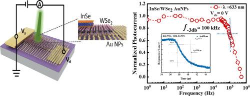 Ultrafast Self-Powered photodetector based on Plasmon-assisted InSe/WSe2 van der Waals heterostructures