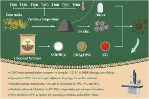 Optimizing biochar-based slow-release fertilizers (BSRFs): Comprehensive impacts of binder types, pyrolysis temperatures, and nutrient formulations on mechanical strength and nutrient release dynamics