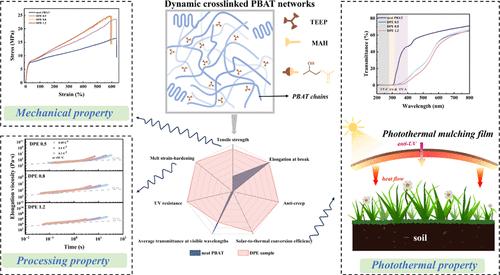 Dynamic Cross-Linked Poly(butylene adipate-co-terephthalate) Networks via Functional Eugenol for Simultaneous Enhancement of Mechanical, Processing, and Photothermal Performance
