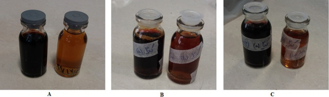 Synthesis of silver nanoparticles from pure and combined extracts of Satureja bachtiarica Bung. and Satureja hortensis L. effective on some microbial strains causing digestive diseases.
