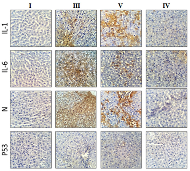 Protective effects of Alamandine against doxorubicin-induced liver injury in rats.