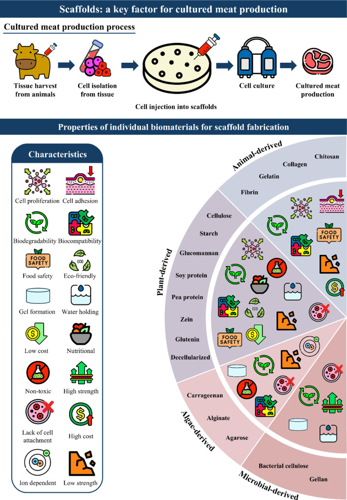 Scaffold Biomaterials in the Development of Cultured Meat: A Review.