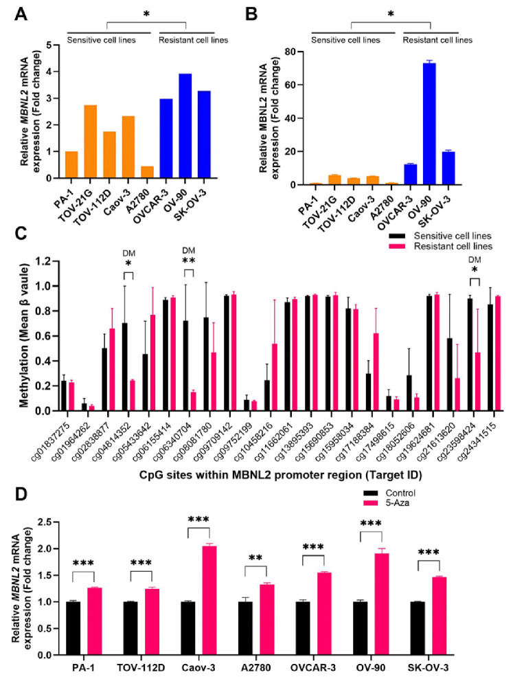 MBNL2 enhances cisplatin resistance by regulating apoptosis in ovarian cancer cells.