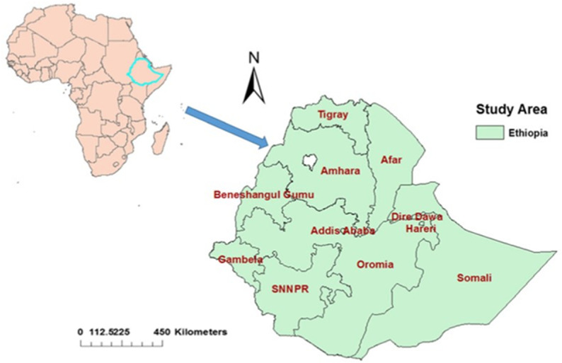 Spatial and multi-level analysis of factors associated with long-acting reversible modern contraceptive use among married women in Ethiopia.