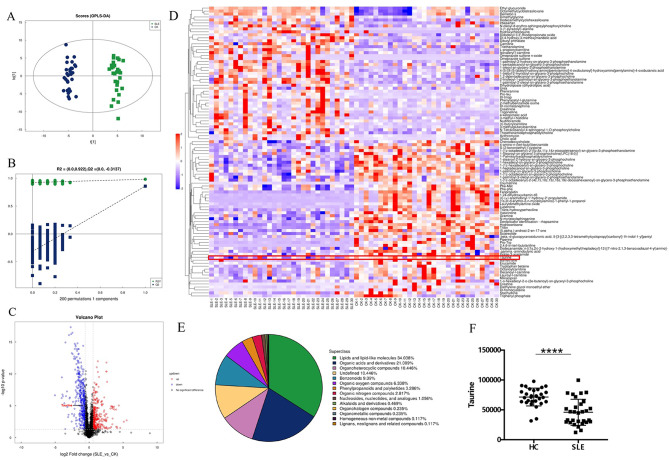 Taurine corrects lupus CD4<sup>+</sup> T cell imbalance through inhibition of mTORC1 signaling.