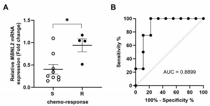 MBNL2 enhances cisplatin resistance by regulating apoptosis in ovarian cancer cells.