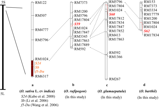 Identification and Genetic Analysis of Collinearity Loci for Interspecific Hybrid Sterility in Genus Oryza.