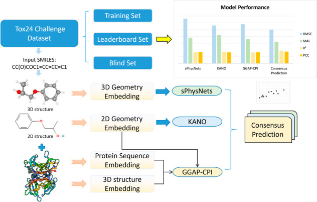Enhancing Transthyretin Binding Affinity Prediction with a Consensus Model: Insights from the Tox24 Challenge.
