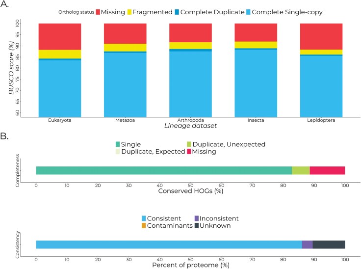 Nuclear genome assembly of Leucinodes orbonalis (Lepidoptera: Crambidae) collected from the Philippines.