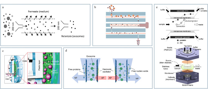 [Exosome separation and analysis based on microfluidics technology and its clinical applications].