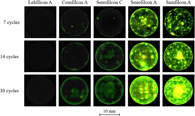 Surface and Antifouling Properties of a Biomimetic Reusable Contact Lens Material.