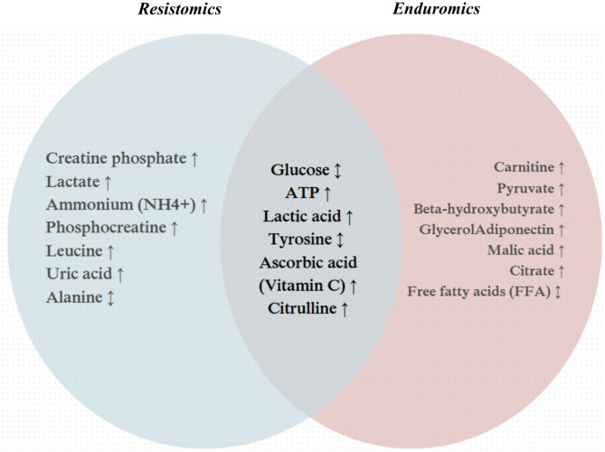 From Multi-omics To Personalized Training: The Rise of Enduromics and Resistomics.