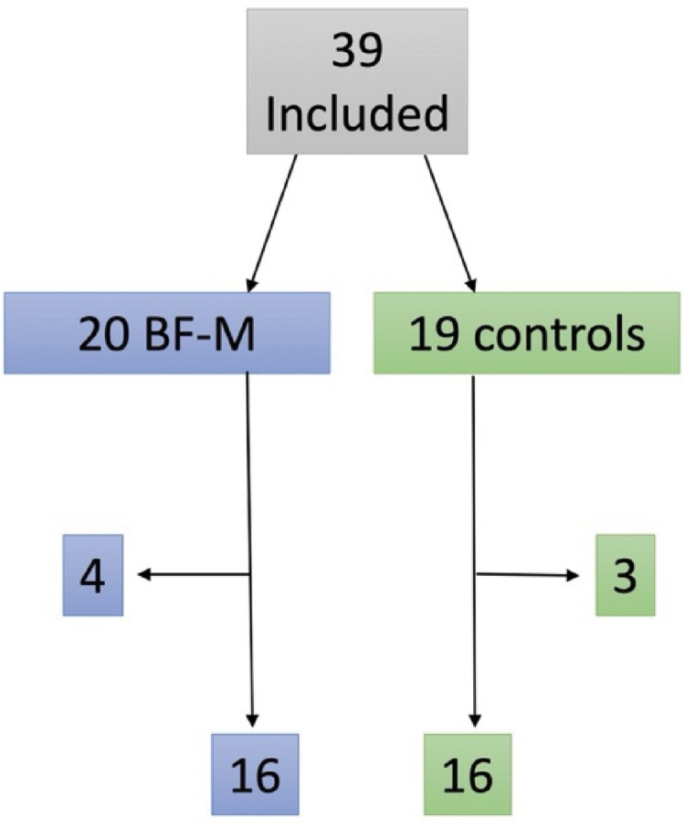 A new mindfulness and psycho-educative program for treatment of brain fatigue, evaluated after an acquired brain injury and multiple sclerosis.