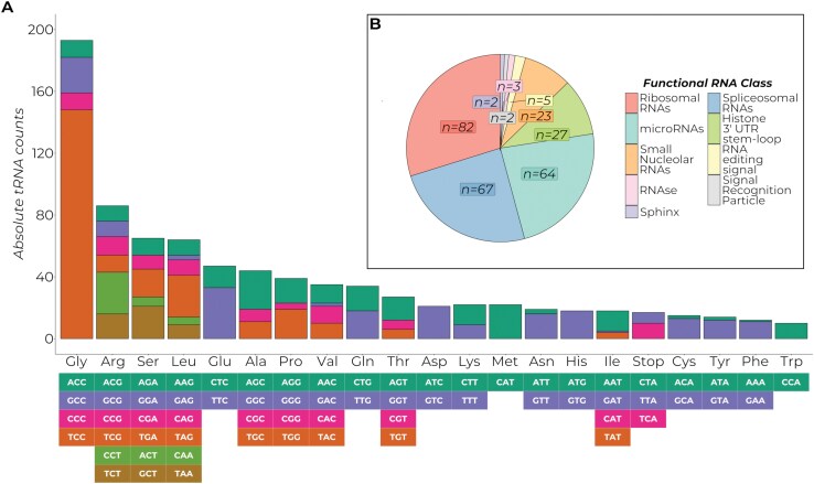 Nuclear genome assembly of Leucinodes orbonalis (Lepidoptera: Crambidae) collected from the Philippines.