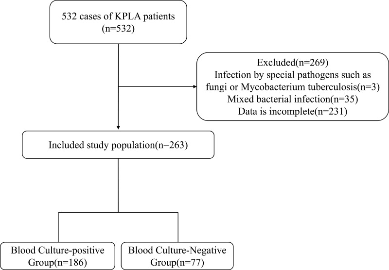Clinical Characteristics and Risk Factors for Blood Culture-Positive Klebsiella pneumoniae Liver Abscess: A Retrospective Study.