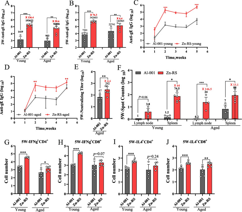 Immunological enhancement of micro-nanoparticle formulated with risedronate and zinc as vaccine adjuvant in aged mice.