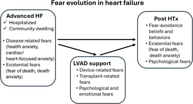 Prevalence and Outcomes of Fears in Advanced Heart Failure: Differences Across Disease Stages.