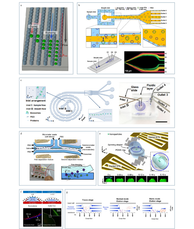 [Exosome separation and analysis based on microfluidics technology and its clinical applications].