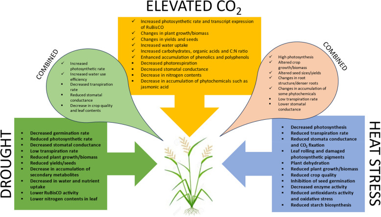 Current impacts of elevated CO<sub>2</sub> on crop nutritional quality: a review using wheat as a case study.