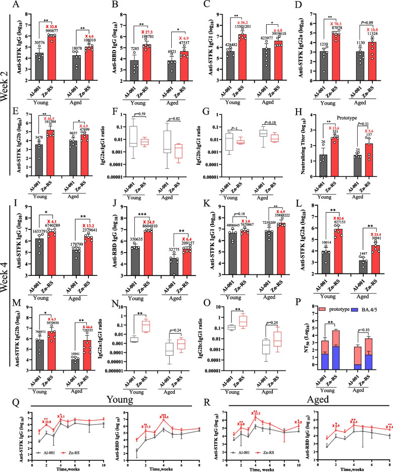 Immunological enhancement of micro-nanoparticle formulated with risedronate and zinc as vaccine adjuvant in aged mice.