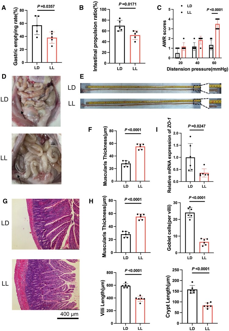 Long-term exposure to constant light disrupts intestinal stem cells through sympathoexcitation-induced Wnt5a signaling inhibition.