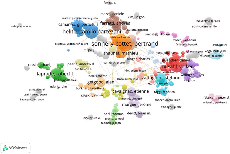 Mapping the anterolateral ligament of the knee: a bibliometric analysis.