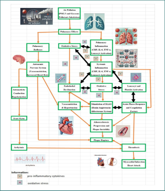 Air pollution and cardiovascular diseases: mechanisms, evidence, and mitigation strategies.