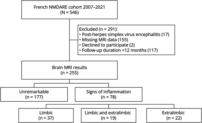 Abnormal Brain MRI in Anti-NMDA Receptor Encephalitis: Clinical and Prognostic Implications.