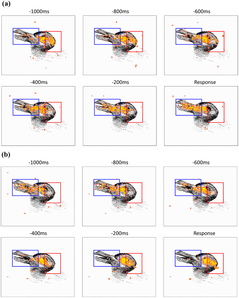 Eye-movement patterns for perceiving bistable figures.