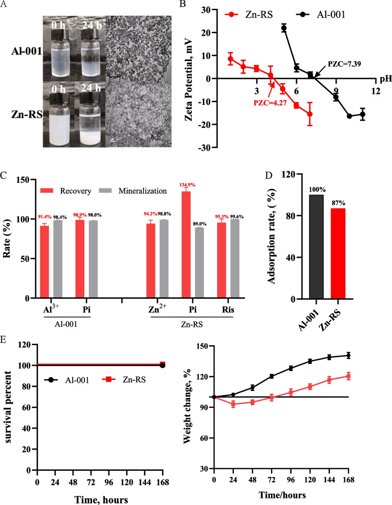 Immunological enhancement of micro-nanoparticle formulated with risedronate and zinc as vaccine adjuvant in aged mice.