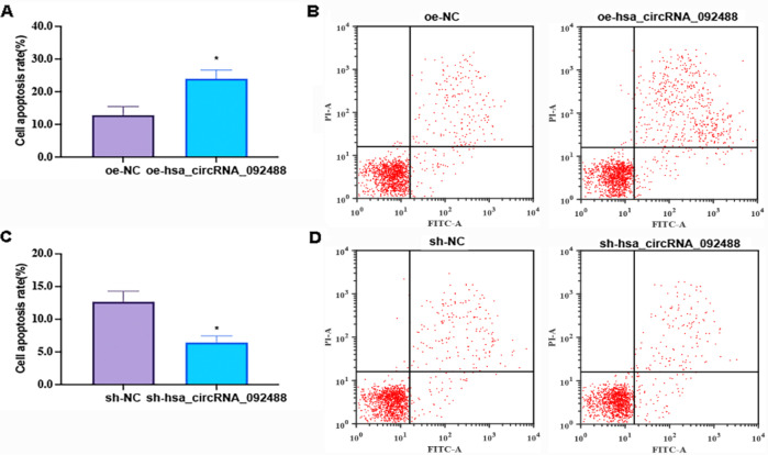 hsa_circRNA_092488 Exacerbates the Progression of Deep Vein Thrombosis Through the NLRP3/NF-κB Signaling Pathway