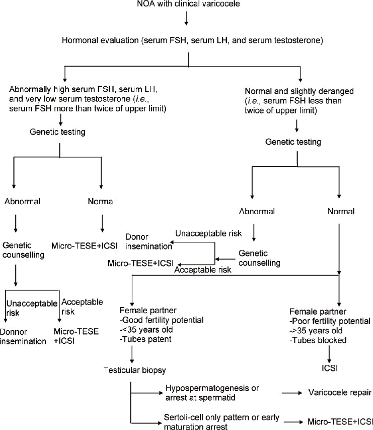 Varicocele and nonobstructive azoospermia.
