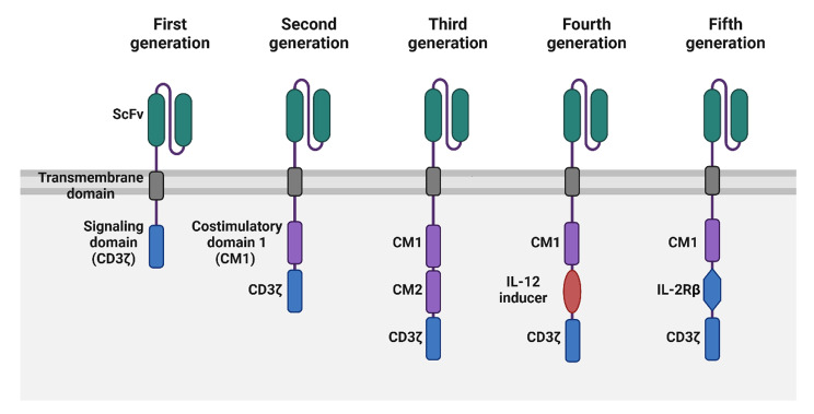 Advances and challenges in CAR-T cell therapy for head and neck squamous cell carcinoma.