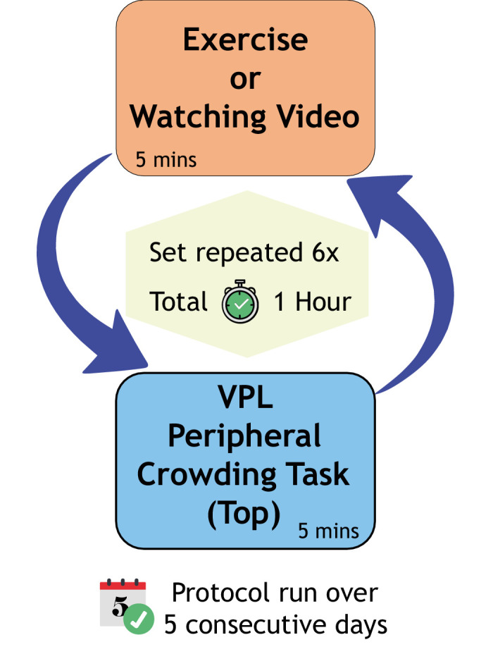 Interleaved periods of exercise do not enhance visual perceptual learning.