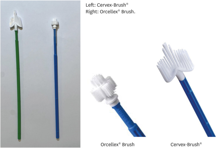 Clinical trial comparing the use of Orcellex<sup>®</sup> Brush versus Cervex-Brush<sup>®</sup> on vaginal vault smear cytology adequacy rate in patients treated with radiotherapy for cervical cancer.