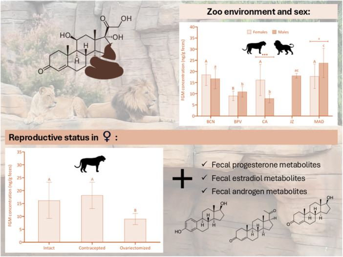 Noninvasive Assessment of Stress and Reproduction in Captive Lions (Panthera leo) Using Fecal Hormone Analysis.