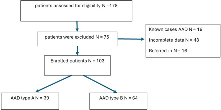Delayed Diagnosis and Outcomes in Acute Aortic Dissection: A 10-Year Single-Center Retrospective Study.