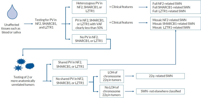 Clinical and Genetic Overview of Neurofibromatosis Type 2 (NF2).