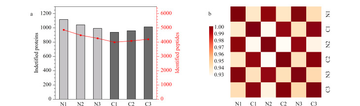 [Enriching plasma exosomes for proteomic analysis using a phosphatidylserine-imprinted polymer].