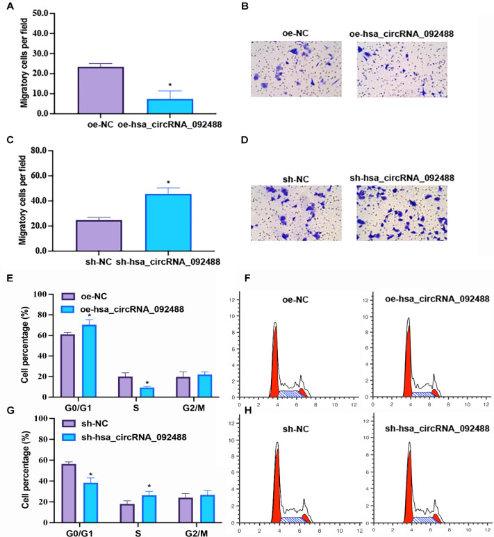 hsa_circRNA_092488 Exacerbates the Progression of Deep Vein Thrombosis Through the NLRP3/NF-κB Signaling Pathway