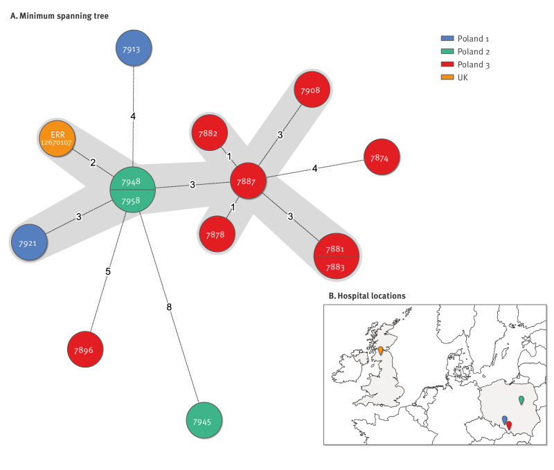 Newly emerging metronidazole-resistant <i>Clostridioides difficile</i> PCR ribotype 955 identified in Poland, 2021 to 2023 but not in Czechia, 2012 to 2023 and Slovakia, 2015 to 2023.