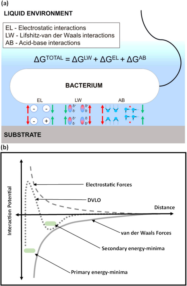 Comprehensive review of bacterial death mechanism on nanopillared nanostructured surfaces.