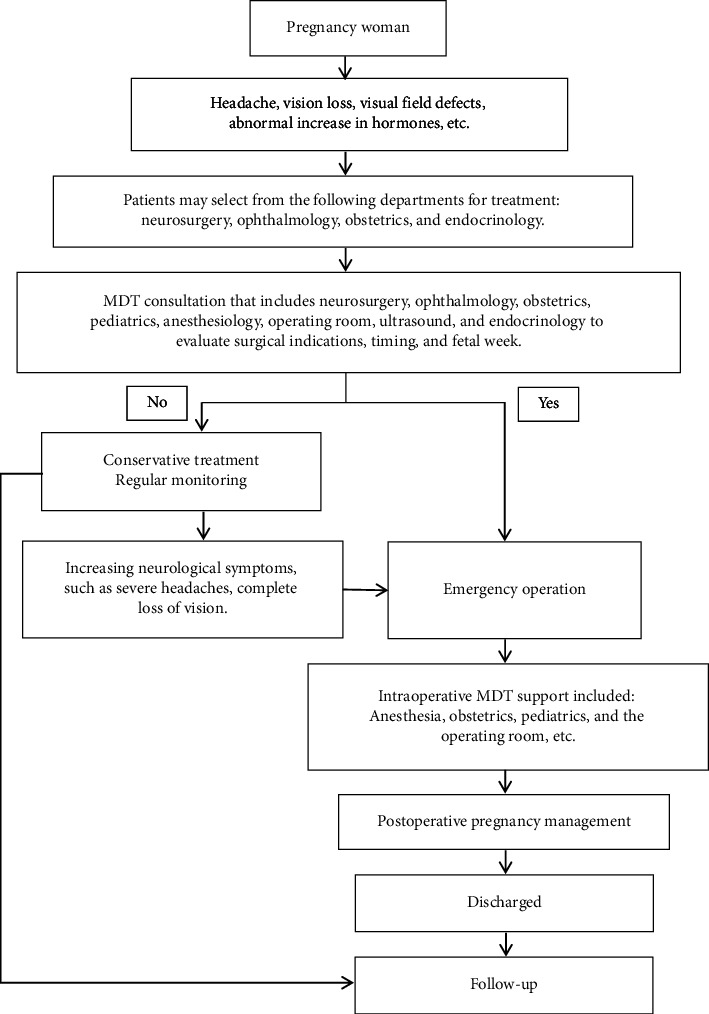Multidisciplinary Management of Pituitary Neuroendocrine Tumors During Pregnancy: Institutional Report.
